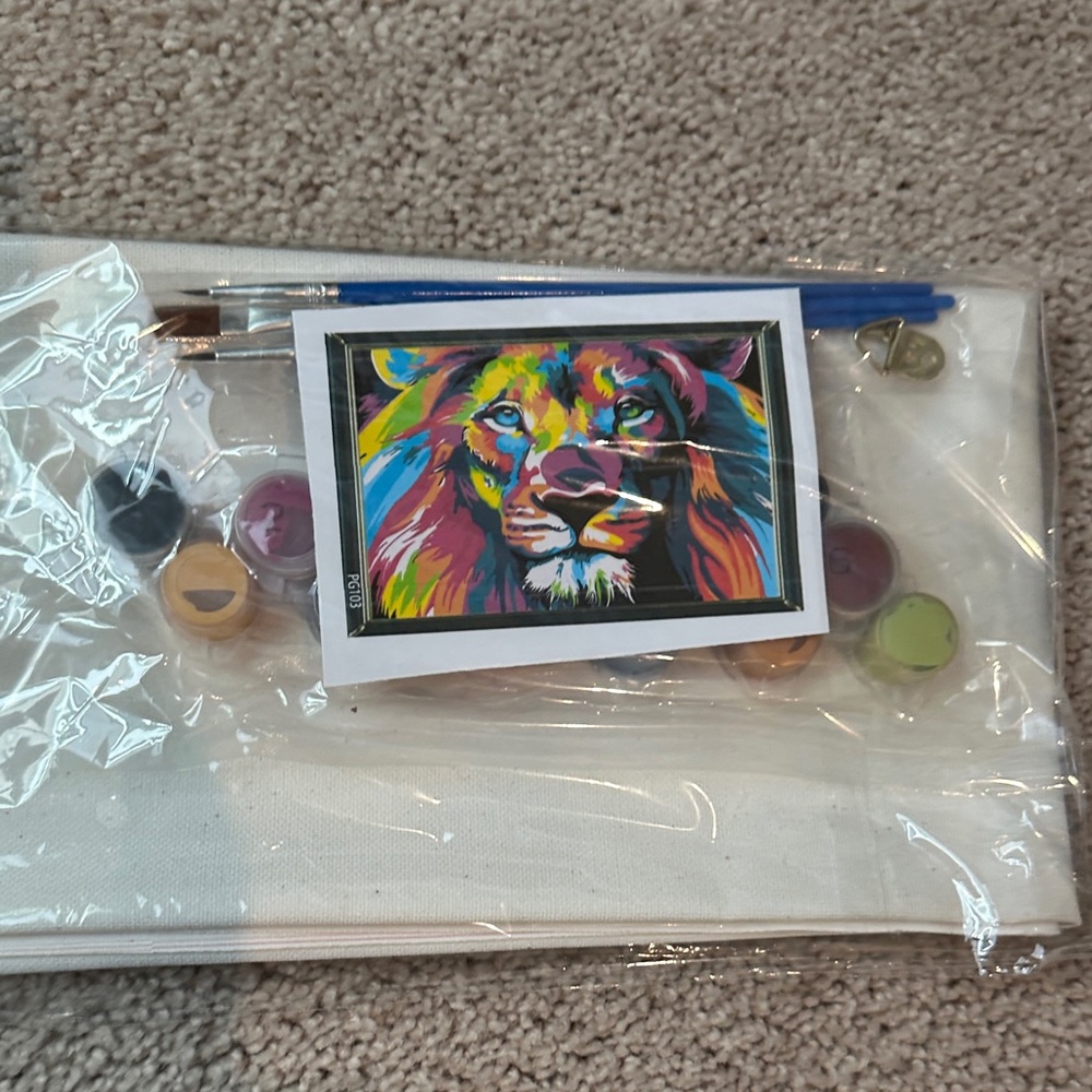 3/$15 Colorful Lion Paint by Numbers Kit